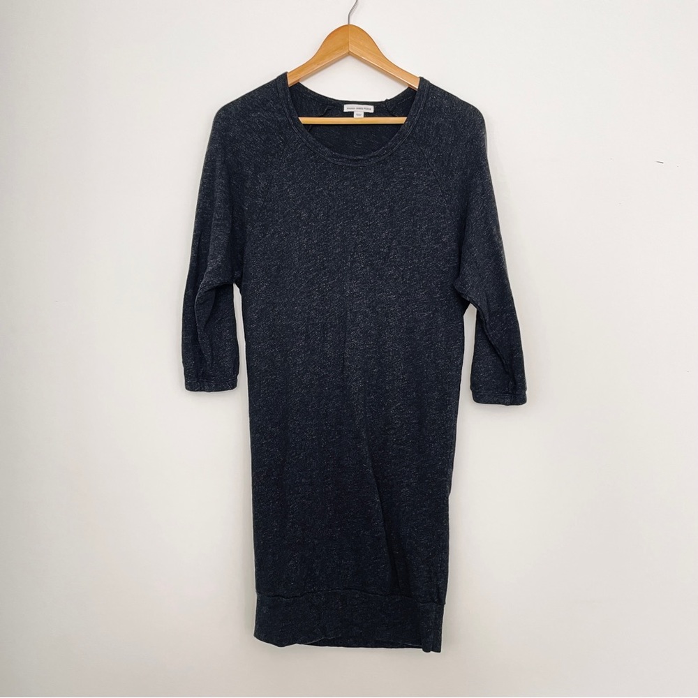 James Perse Sweatshirt Dress